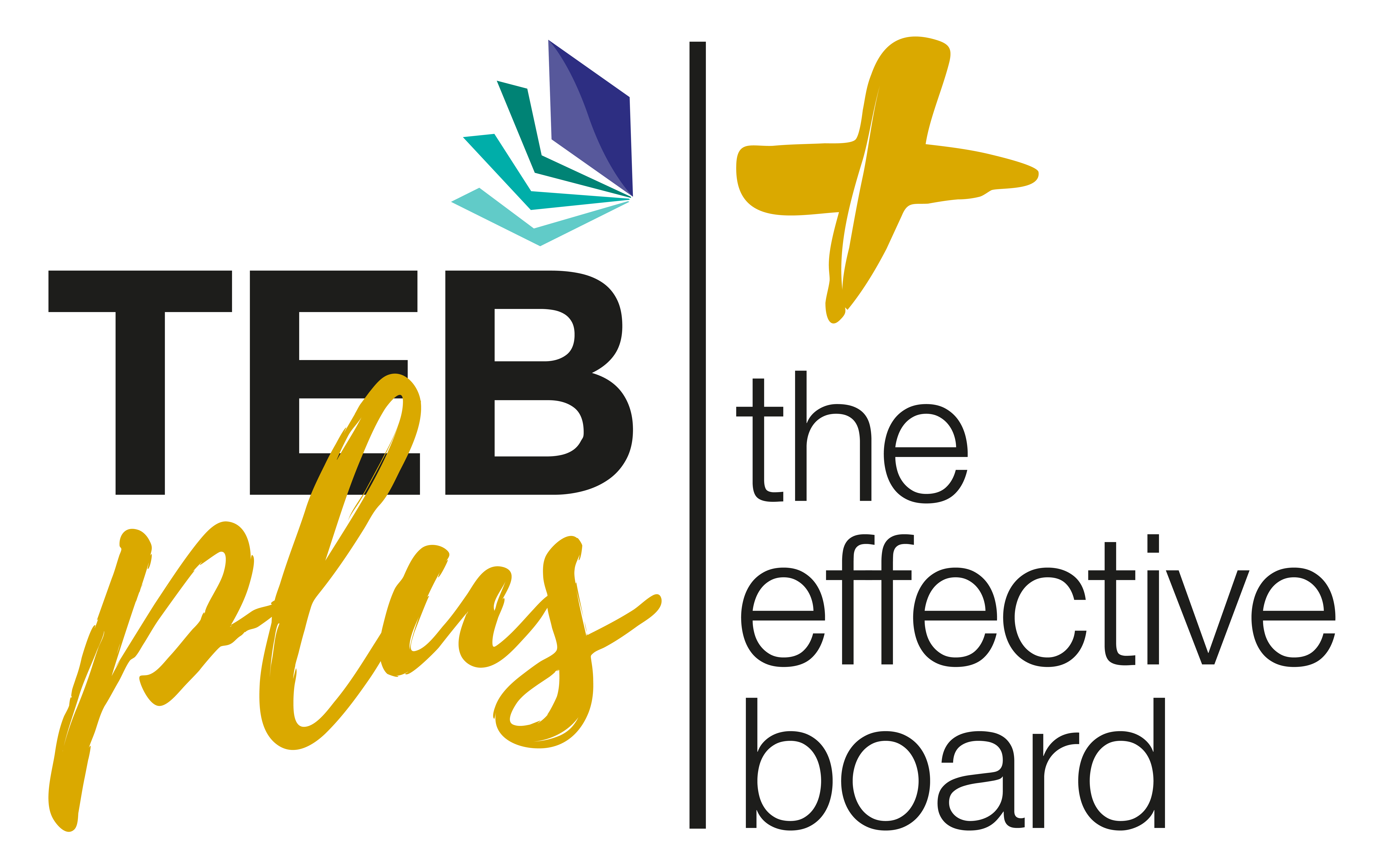 TEB Plus - The Effective Board